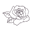 Ericsonrose.com Icon