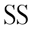 Skysins.com Icon