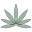 Kind-hemp-farms.square.site Icon