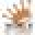 Noblepetcompany.com Icon