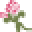 Islandthyme.com Icon