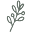 Willowoakboutique.com Icon