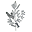 Botanicalsbyluxe.com.au Icon