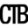 Creativetouchboutique.com Icon