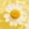 Loriastern.com Icon
