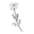 Latierrasagradahair.com Icon