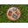 Bootlegbourbonballs.com Icon