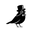 Shopgoldfinch.com Icon