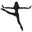 Worldwideballet.net Icon