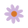 Hellopetalcards.com.au Icon