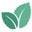 Mintecoshop.com.au Icon