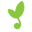 Sustainablesprout.com Icon