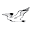 Berdels.com Icon