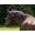 Sleepyhollowtack.com Icon