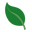 Teenygreeny.co.uk Icon