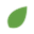 Essenzefruits.com Icon