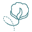 Americancotton.com Icon