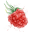 Raspberrycreekfabrics.com Icon