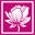 Rosaherbalcare.com Icon