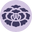 Shishidocreative.com Icon