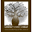 Kimberleycoffee.com.au Icon