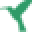 Urbannaturestore.ca Icon