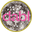 Shopdabl.com Icon