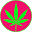 Magicleaftees.com Icon