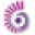 Colourvue.net.au Icon