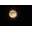 Moonchildproducts.com Icon