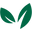 Willowmattress.com.sg Icon