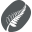 Chocolatefishcoffee.com Icon