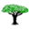 Flourish Icon