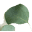 Blackbowgiftco.ca Icon
