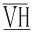 Vagabond-group.com Icon