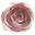 Shop.faithfullyplanted.com Icon