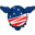 Usaproudtees.com Icon