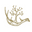 Treehorncider.com Icon
