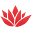 Thai Bloom! Icon