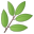 Modernmannahealth.com Icon