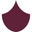Acerashop.com Icon
