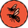 Bee2beehoney.com Icon