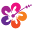 Alohashoes.com Icon