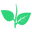 Growindo.com Icon
