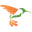 Hummingbird Networks Icon