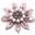 Anima Boutique Icon