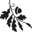 Willowandoakskincare.com Icon