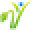Vitalité Now! Icon