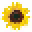 Duenger-shop.de Icon