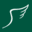 Green Angel Icon